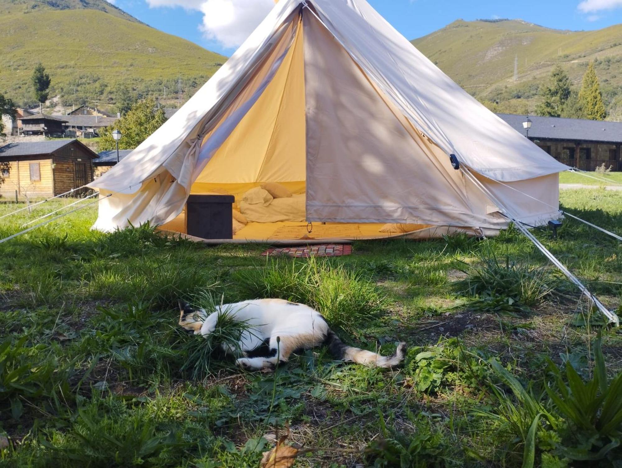 Camping La Zarapica - Palacios Del Sil ภายนอก รูปภาพ